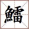 鱩的图片