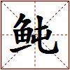 鲀的图片
