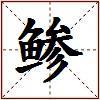 鲹的图片