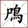 鳲的图片