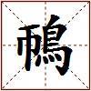 鳾的图片