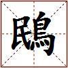 鴖的图片