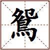 鴛的图片