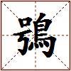 鴞的图片