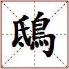 鴟的图片