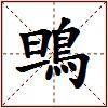 鴠的图片
