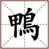 鴨的图片