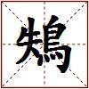 鴩的图片