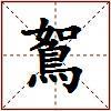 鴽的图片