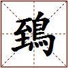 鵄的图片