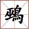鵐的图片