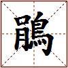 鵑的图片
