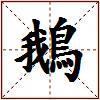 鵝的图片