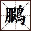 鵩的图片