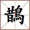 鵲的图片