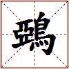 鵶的图片