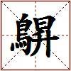 鵿的图片