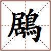 鶋的图片