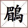 鶥的图片