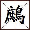 鷓的图片