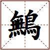鷡的图片