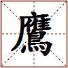 鷹的图片