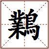 鸈的图片