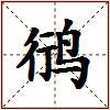 鸻的图片
