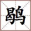 鹖的图片