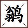 鹟的图片
