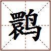 鹮的图片
